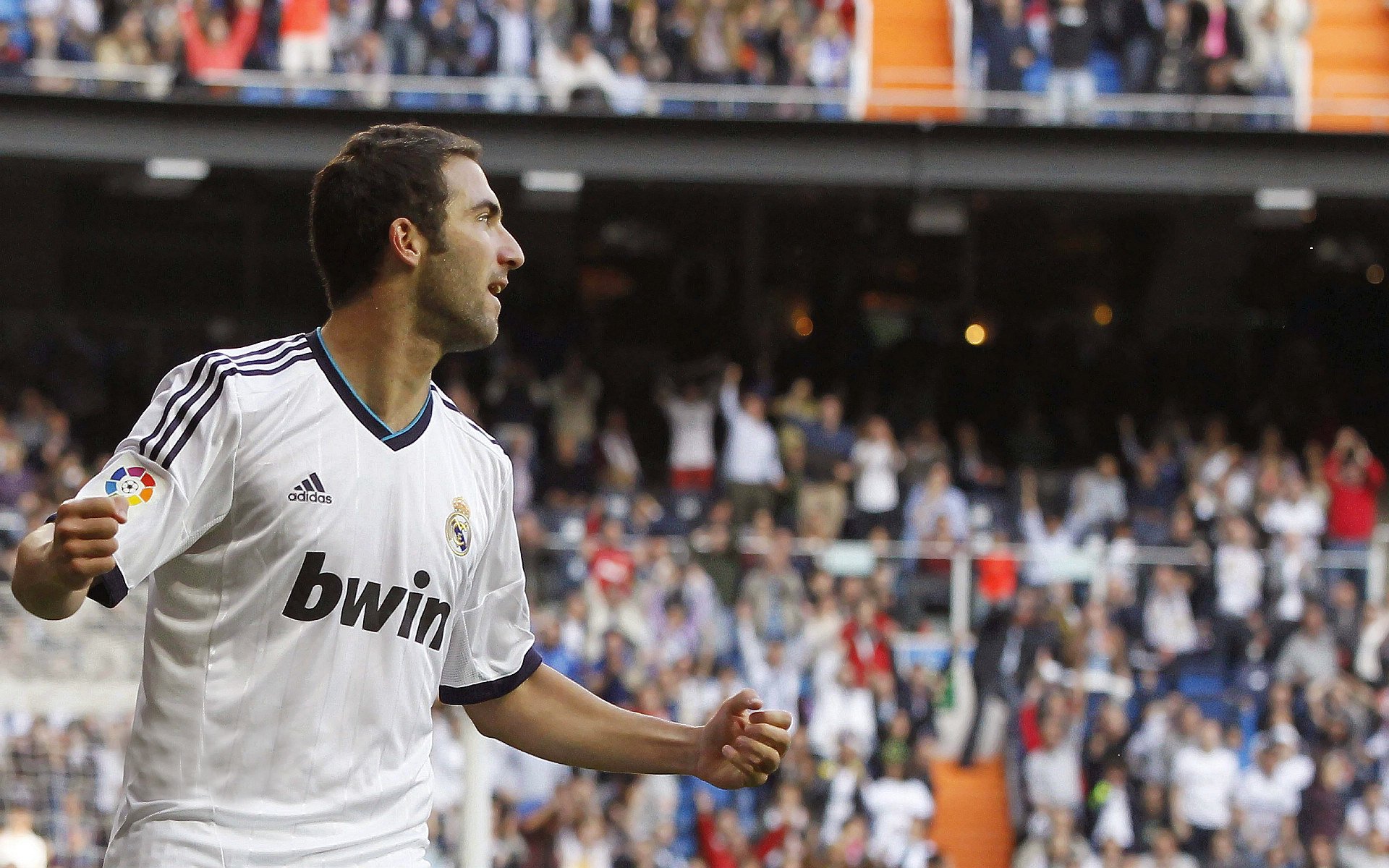 美洲杯压力之下：拼搏不止，精彩纷呈，美洲杯!