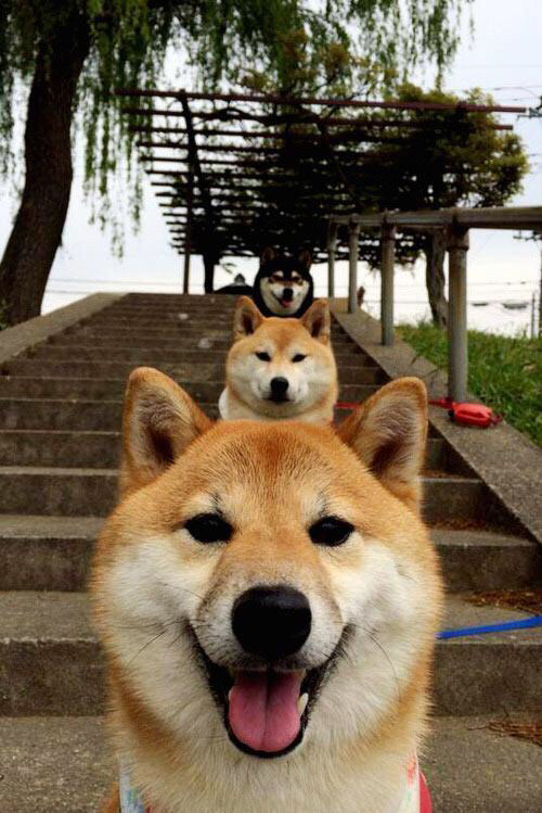 九游下载电脑版官网-_篮网整体表现出色，排名继续攀升_，篮网2022