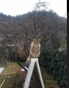 九游体育平台官网-“登顶热潮，冠军争夺战火不断升级”，冠军盛典